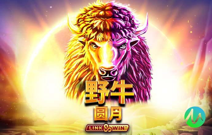 任意球专家